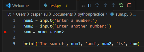 python_find_error